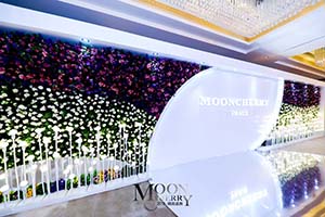 展臺搭建中常見的四種風(fēng)格！