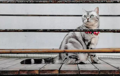 想要做好線上互動，這幾招教你掌握核心邏輯