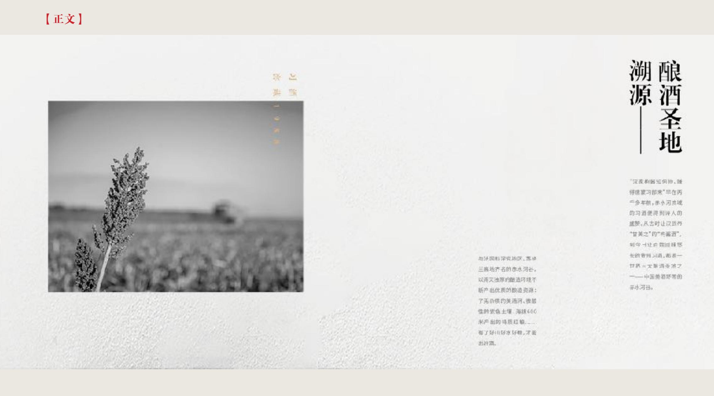 品牌策劃 | 習(xí)酒平面圖創(chuàng)意設(shè)計(jì)方案