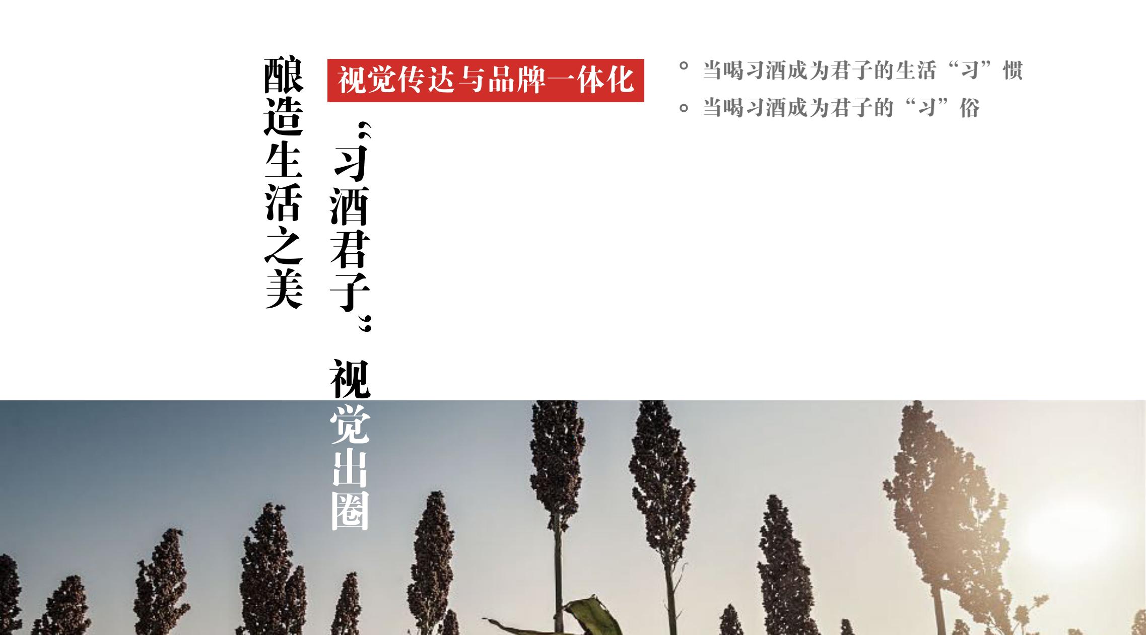 品牌策劃 | 習(xí)酒平面圖創(chuàng)意設(shè)計(jì)方案