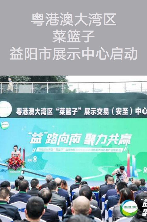 活動策劃執(zhí)行－粵港澳大灣區(qū)菜籃子益陽市展示中心啟動