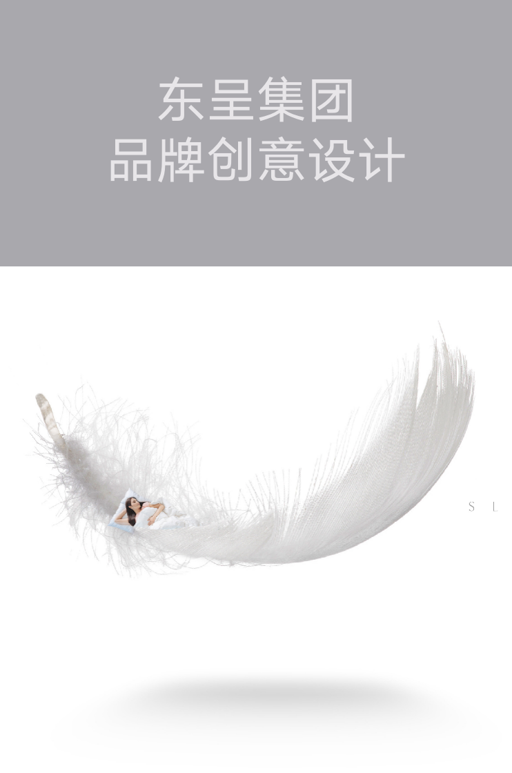 東呈集團(tuán)-品牌創(chuàng)意設(shè)計(jì)