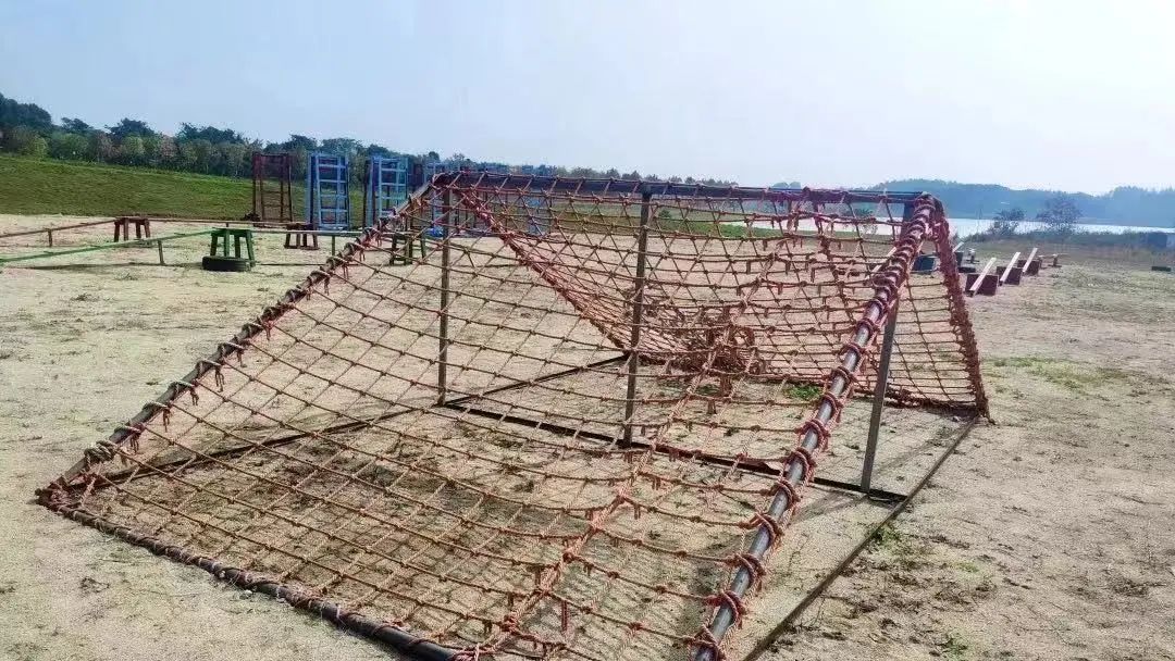 1680832186840797.jpg 640.jpg