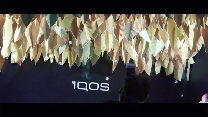 別樣精彩！廣州活動策劃公司夏日奇妙嘉年華活動全面揭幕